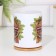 Sublimation mug "Professor of bath sciences", with application