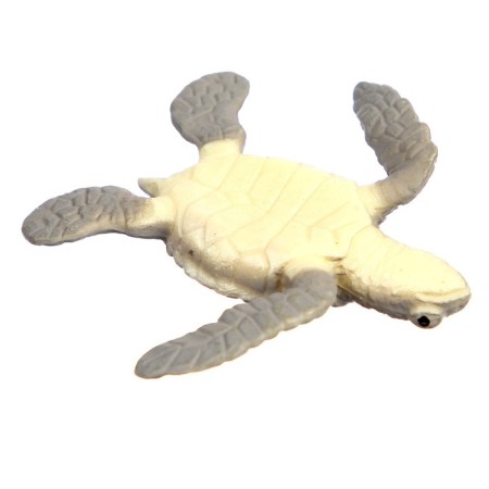 Training set "Stages of development of sea turtles" 4 figures-6