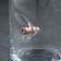 Set "impenetrable. Limited black", curtain with a bullet, 2 cups for whiskey with a bullet