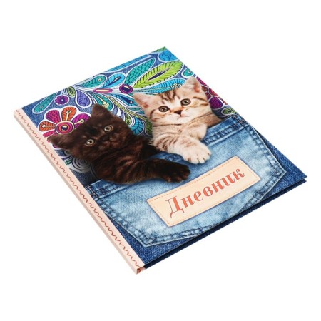 Universal diary for grades 1-11, "kittens in pockets", solid cover 7BC, glossy lamination, 40 sheets-2