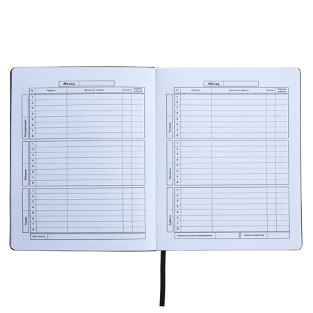 Universal Diary Grade 1-11, 48 sheets "graffitist", covering of artificial leather, liesa, offset block-6