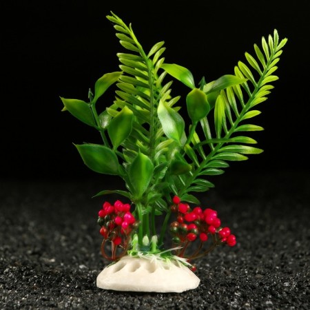Artificial aquarium plant, 18 x 9 x 14 cm, red-2
