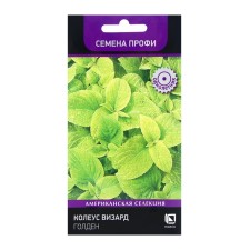 Flower seeds Kohlius Byzard Golden, 10pcs