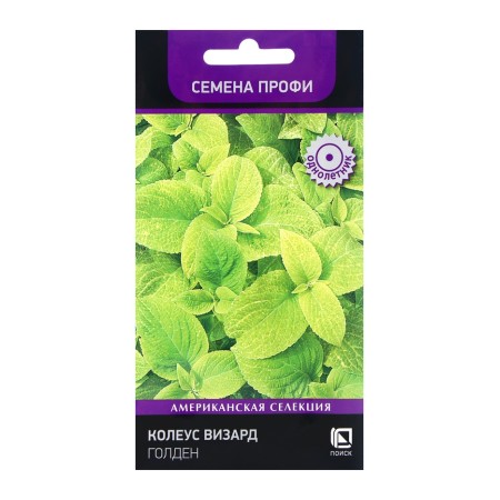 Flower seeds Kohlius Byzard Golden, 10pcs