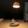 Sensory table lamp 16845/1wt LED 2W USB AKB White 11x13x34.5 cm Risalux