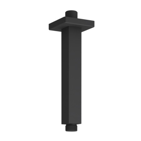 The upper outline for the shower is Wasserkraft A152, brass, black