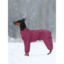 Combineson for dogs (bitch), insulated fleece, p. 65-2 (DS 65 cm, Osh 76 cm, OG 110 cm), Bordeaux 1