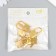 Lack with a key for a casket metal set 5 pcs C286 gold 3.1x1.7 cm