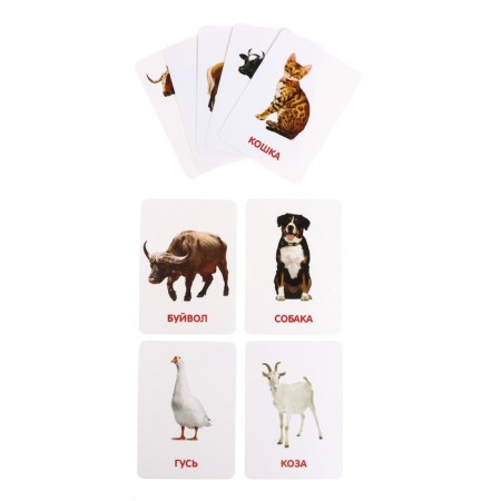 Developing set of figures for children "Pets" with cards, according to the methodology of Doman-4