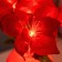 Night Poansettia 9XLED 4000K Red 15x15x40cm Risalux