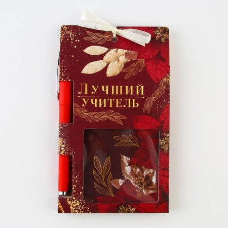 Set "Best Teacher", notebook 125 sheets, plastic pen, blue paste 0.7 mm-11