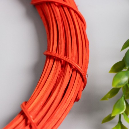 Ring Roadan for manufacturing the cat catcher "red" d = 30 cm-1