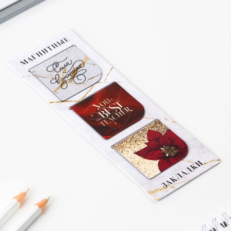 Gift set "Teacher No. 1": A5 diary, 80 sheets, pen, stickers, thermostatic 350 ml and magnetic bookmarks-12