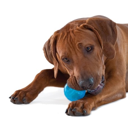 Petstags toy "Orc Tennis Ball" for dogs-2