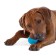 Petstags toy "Orc Tennis Ball" for dogs