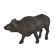Figure Konik "African buffalo"