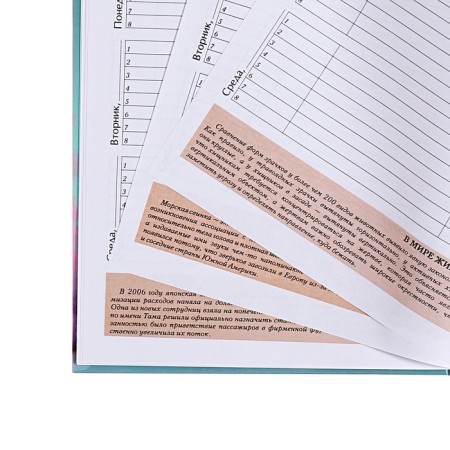 Diary for grades 5-11, solid cover "Pets", glossy lamination, intellectual content, block 60g/m2-9