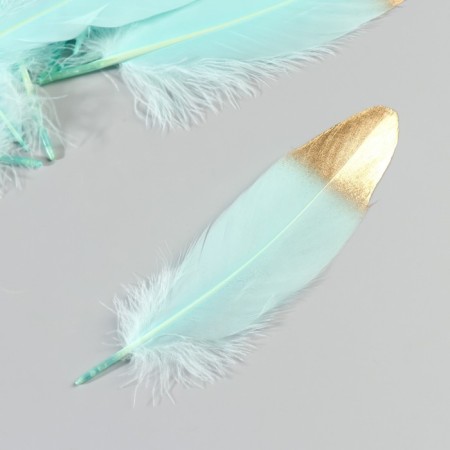 A set of goose feathers 15-20 cm, 10 pcs, mint with gold-2