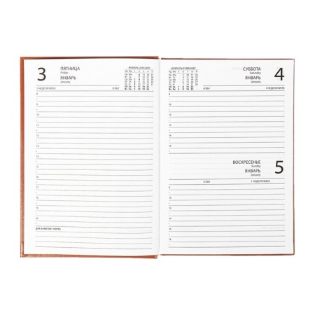 Dated diary of 2025, A5, 168 sheets, boumvinyl, brown-6