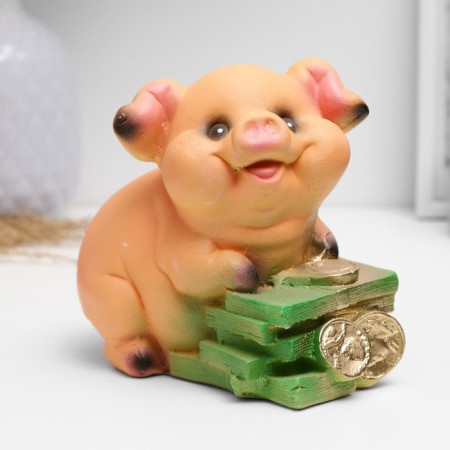 Piggy bank "Pig on money" mix 11cm