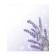 Set of napkins for setting the table "Bouquet of lavender", rectangular, size 32x46 cm, 4 pcs