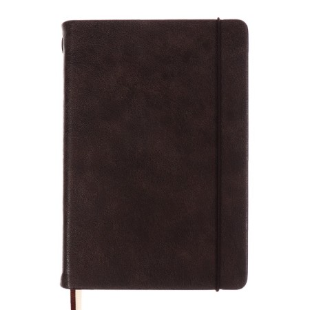 Diary Nedtir A5 160l Escalada, TV Region, Light claim, Las, tone BL 70g/m2, brown