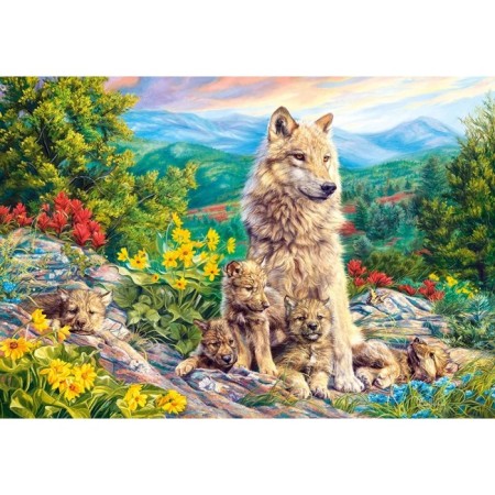 Puzzle "Dressing", 1000 elements-1