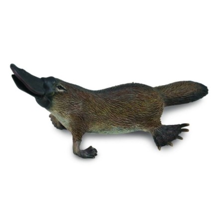 Figure Plaintos, m collection