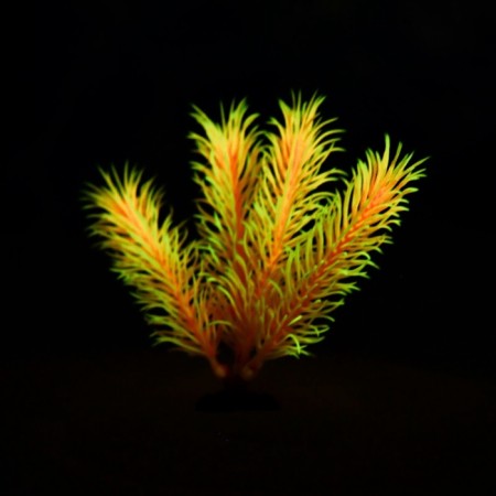 The artificial aquarium, luminous plant, 10 cm, red-5