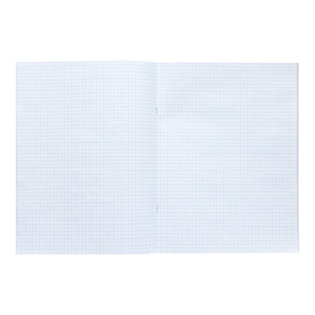 A4 notebook, 48 sheets in the cage "King of the Beasts", cover cardboard chromerzats, block No. 2 (gray sheets)-1