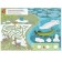 Forest animals. Spring