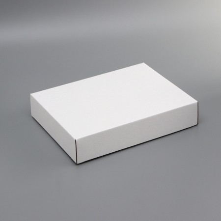Box the team, without printing, lid is "white" without a window 29 x 23.5 x 6 cm-1