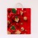 New Year. Package "Ideal", polyethylene with a plastic pen, 44 x 40 cm.