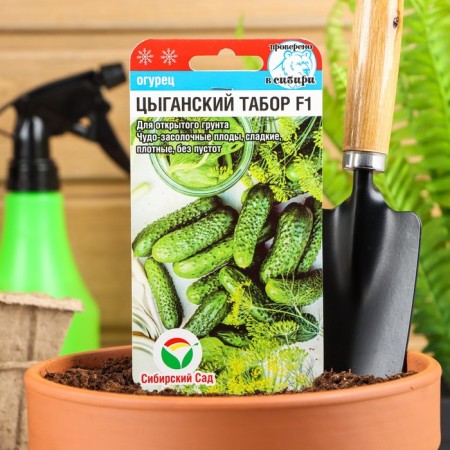 Seeds of the cucumber "Gypsy Tabor" F1, medium early, parthenocarpic, 7 pcs