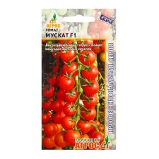 Seed Tomat 