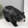 Piggy bank "Black Black" 18.5 x 14 x 36 cm