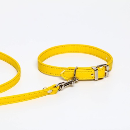 Set of collar (26-34x1.4 cm) and leash (120x1 cm) from eco-leather, yellow-3