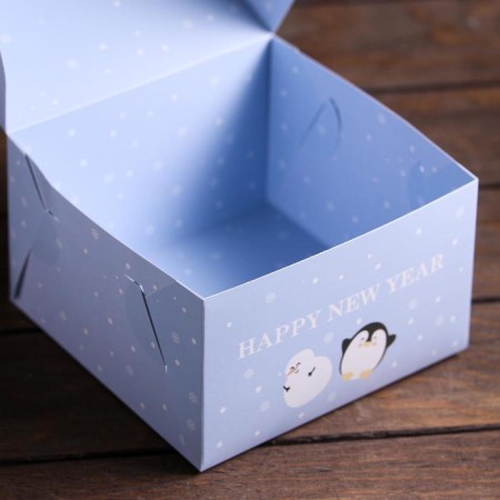 Packaging without a window "New Year in Antarctica", 16 x 16 x 10 cm-2