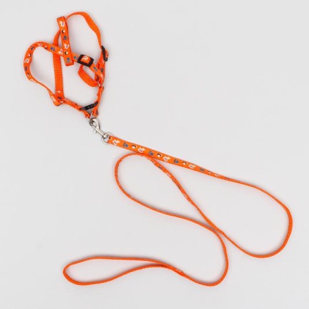AMUNICE COMMUNICATION "DOGA", leash 120 x 1 cm, OG 27-42 cm, orange-4