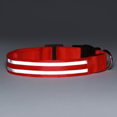 Collar with backlight double strip size S, Osh 35-43 x 2.5 cm, 3 glow modes Red 9772224-10
