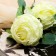 Artificial flowers "rose grace" 7x57 cm, milk