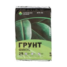 Soil soil ficus 