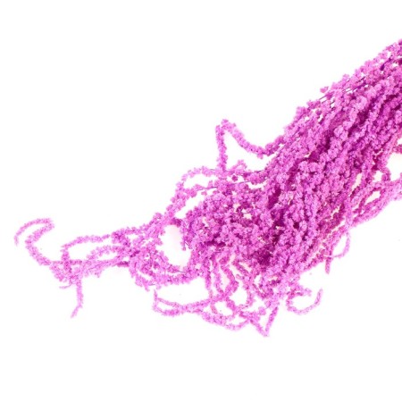 Dry amaranth flowers, 100 g, sheet size: from 50 to 60 cm, purple color-4