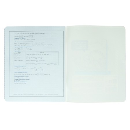 A notebook “Bright details”, 48 sheets in the “Algebra” cage, covered cardboard, selective twin-lak, UV-lak, OFSET block-5