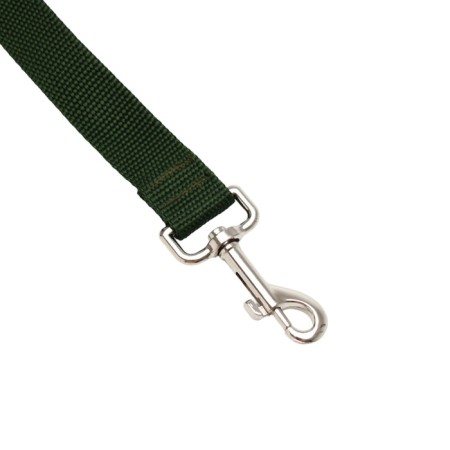 Leash 5 m x 2.5 cm, green-1
