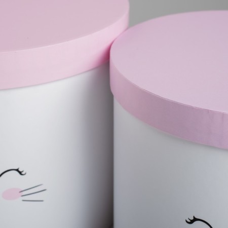 A set of boxes 3 in 1, gift packaging, “cats”, 14 x 14 x 13 - 18 x 18 x 15 cm-2