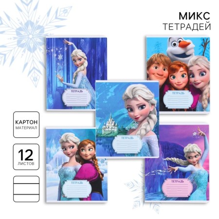 Notebook in a ruler of 12 sheets, 5 types of mix, cover coated cardboard, cold heart