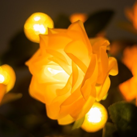 Night Rose 9XLED 4000K Orange 20x20x49cm Risalux-3