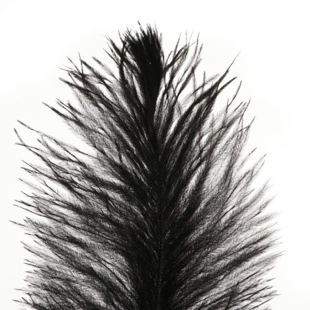 Feather for decor, size: 30-35 cm, black color-5