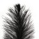 Feather for decor, size: 30-35 cm, black color